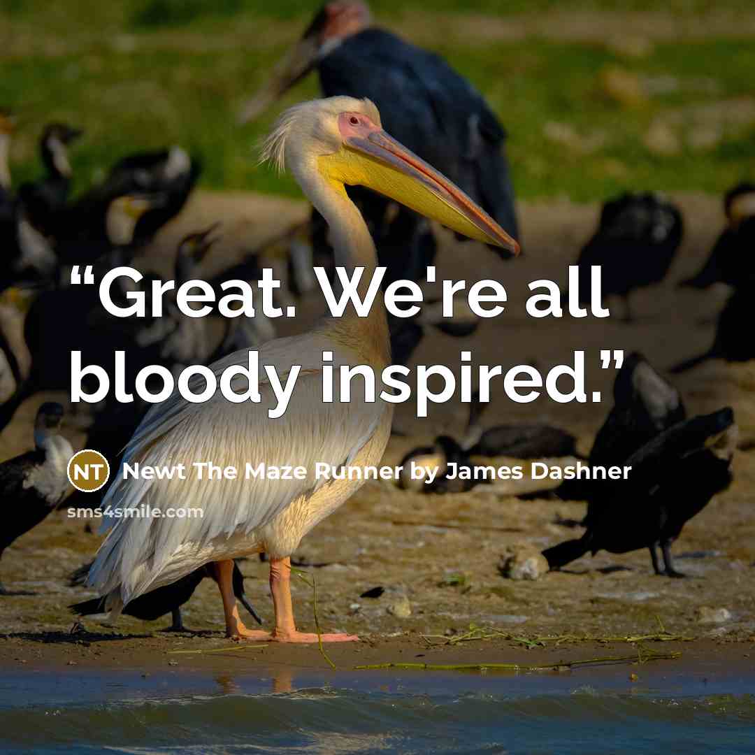 “Great. We're all bloody inspired.” quote by Newt The Maze Runner by James Dashner