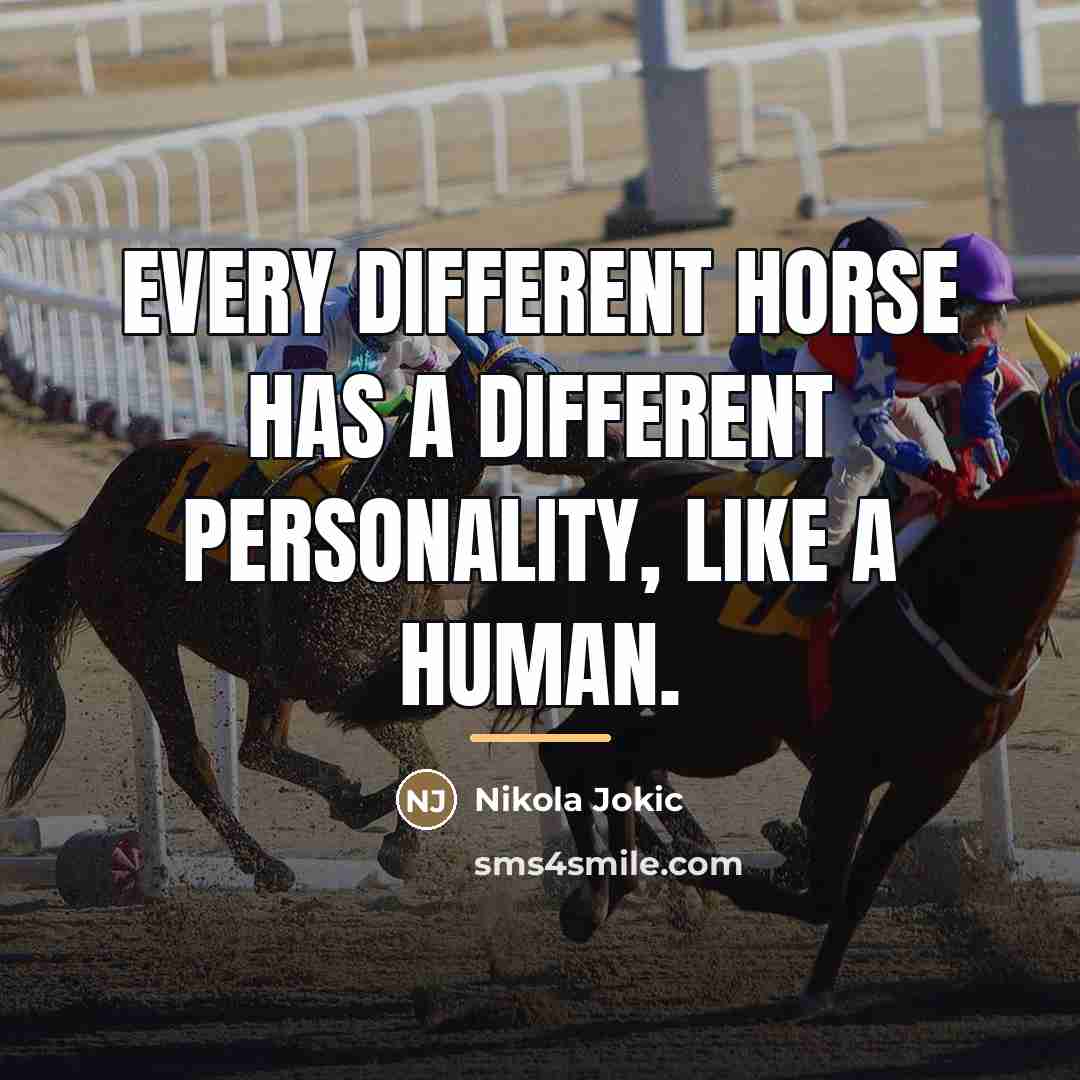 “Every different horse has a different personality, like a human.…” quote by Nikola Jokic