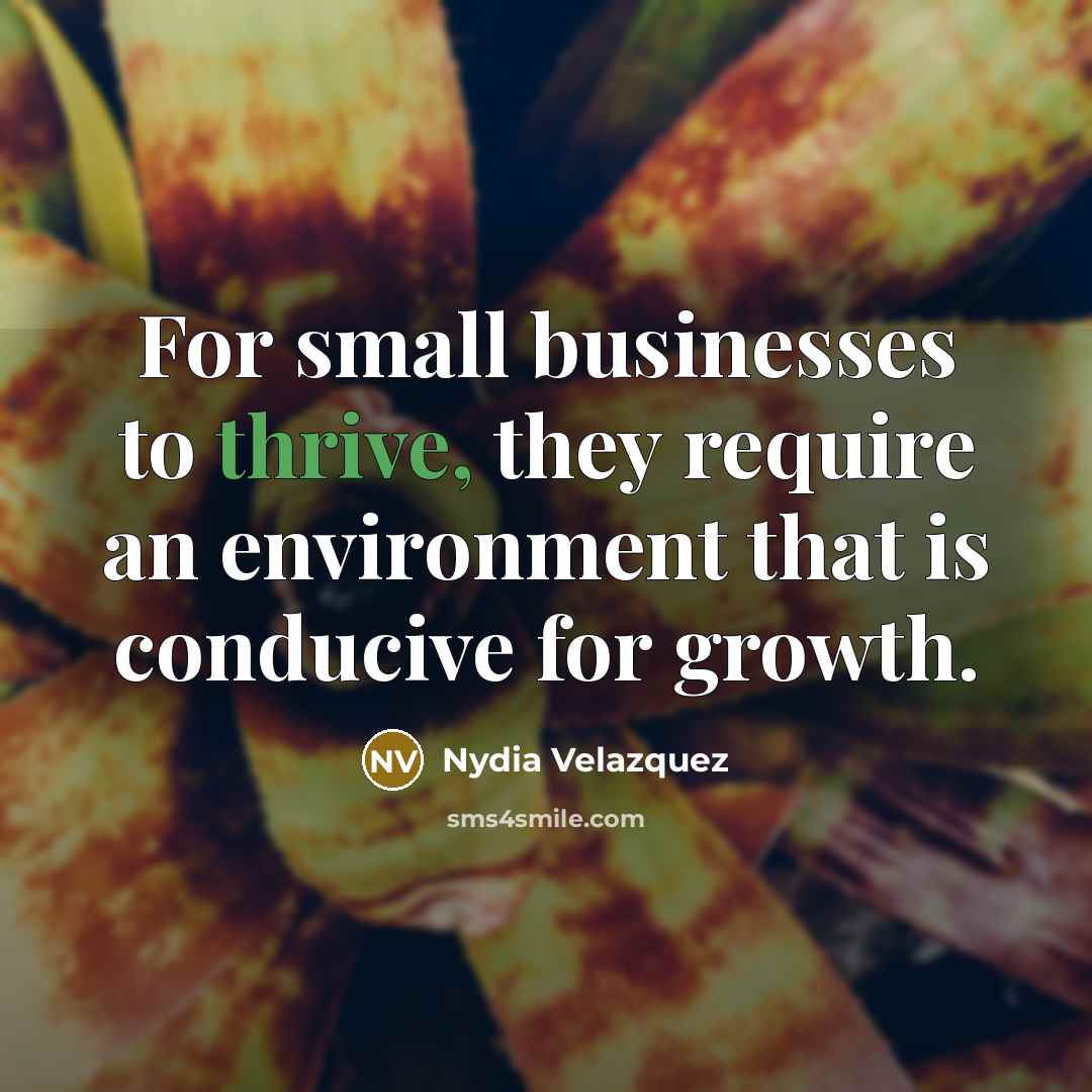 “For small businesses to thrive, they require an environment that…” quote by Nydia Velazquez