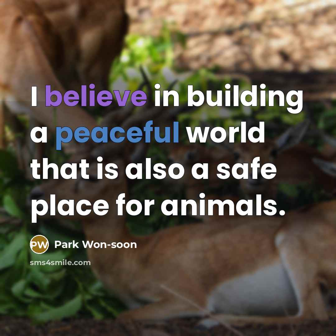 “I believe in building a peaceful world that is also…” quote by Park Won-soon