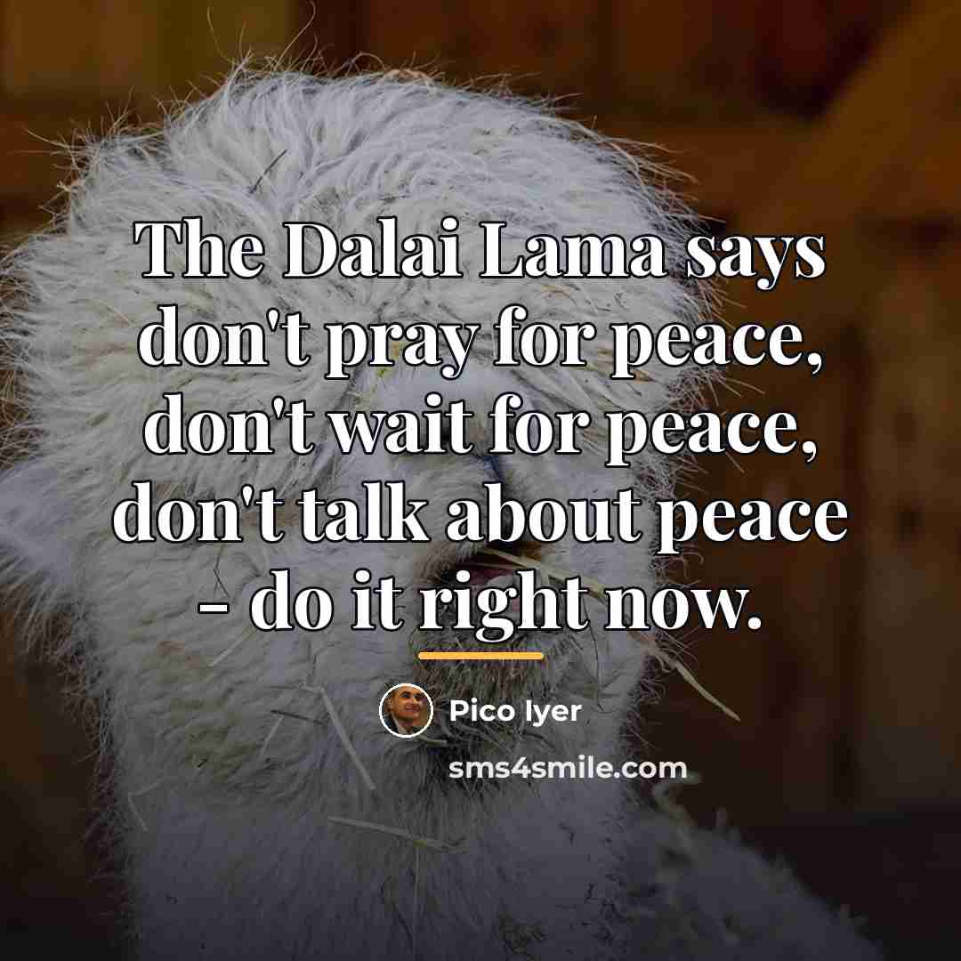 “The Dalai Lama says don't pray for peace, don't wait…” quote by Pico Iyer
