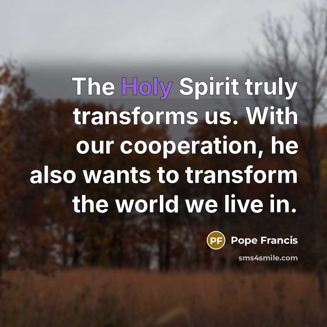 “The Holy Spirit truly transforms us. With our cooperation, he…” quote by Pope Francis