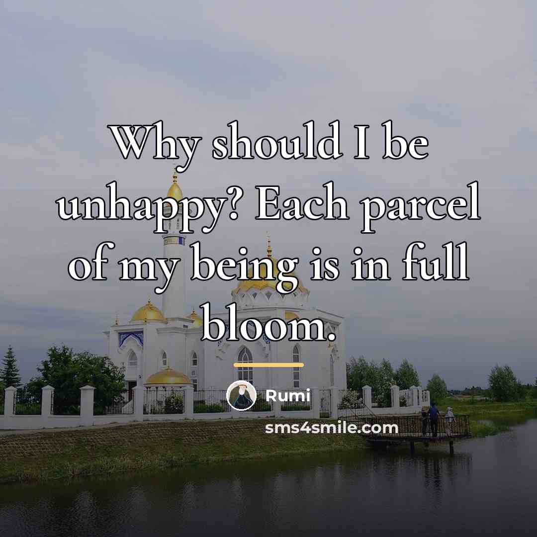“Why should I be unhappy? Each parcel of my being…” quote by Rumi