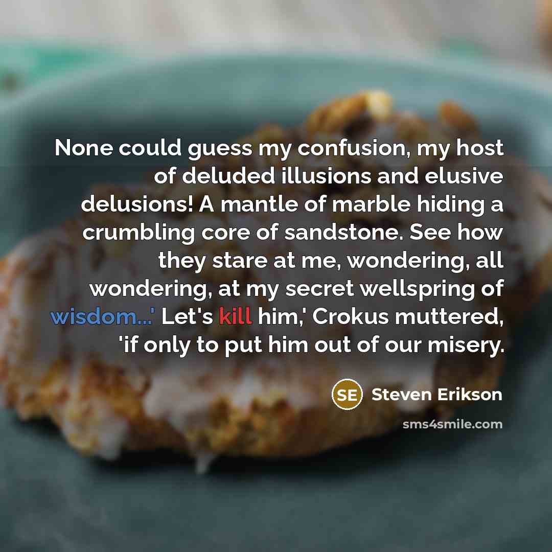 “None could guess my confusion, my host of deluded illusions…” quote by Steven Erikson