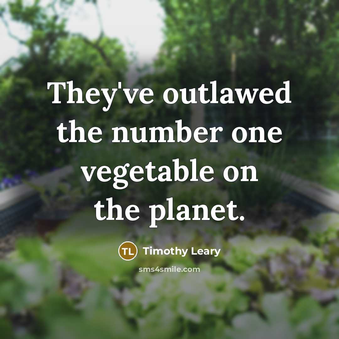 “They've outlawed the number one vegetable on the planet.…” quote by Timothy Leary