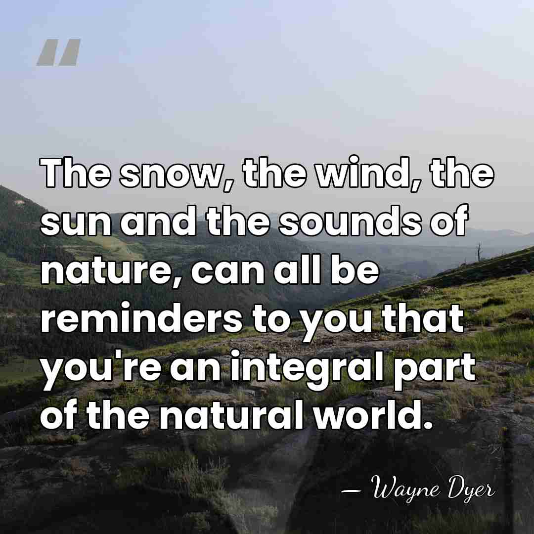 The snow, the wind, the sun and the sounds of nature, can&hellip; - Wayne Dyer