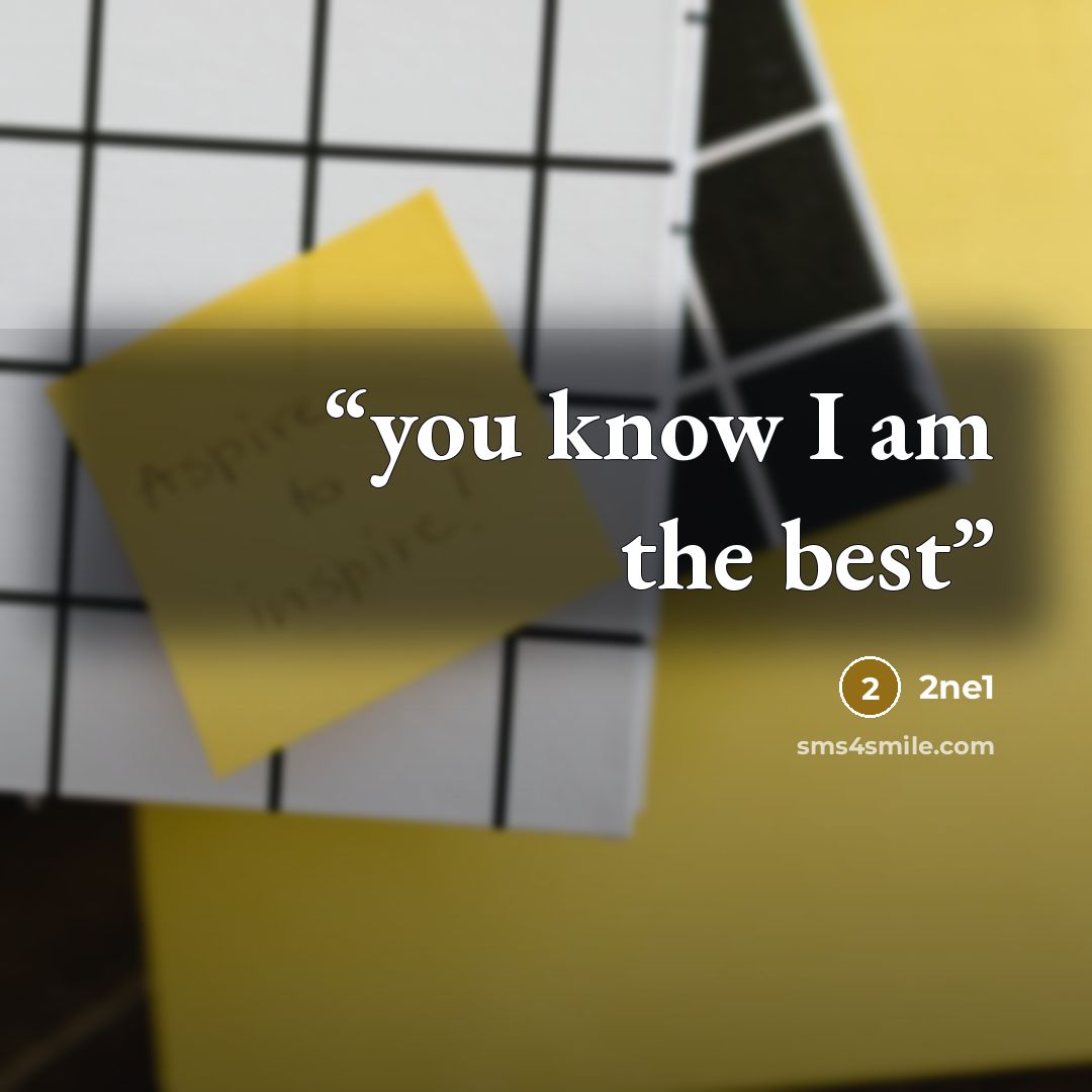 “you know I am the best” quote by 2ne1