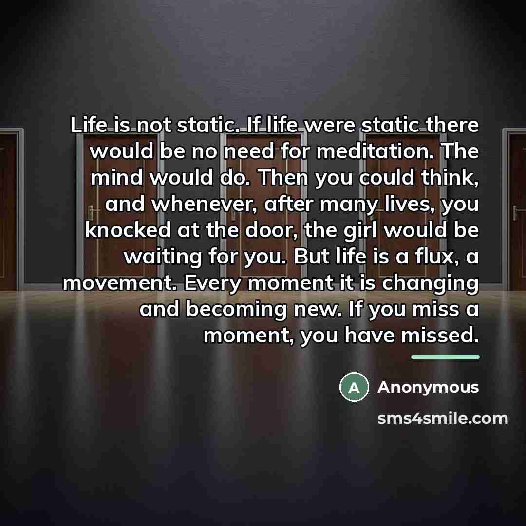 “Life is not static. If life were static there would…” quote by Anonymous