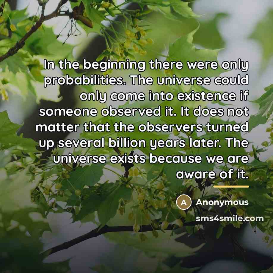 “In the beginning there were only probabilities. The universe could…” quote by Anonymous