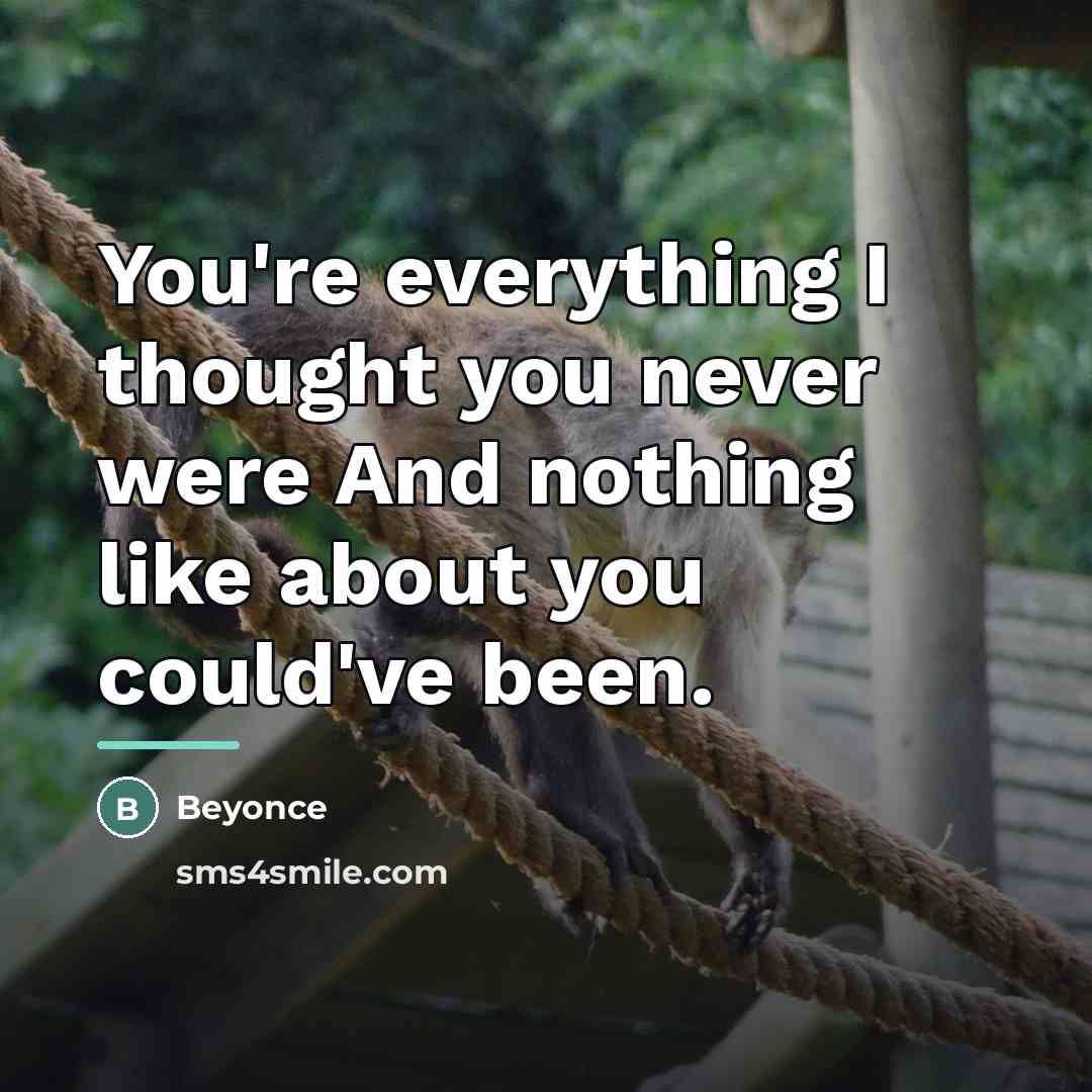 “You're everything I thought you never were And nothing like…” quote by Beyoncé