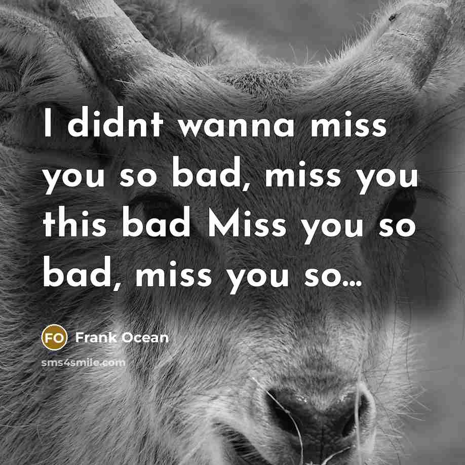 “I didnt wanna miss you so bad, miss you this bad Miss you so bad, miss you so...” quote by Frank Ocean