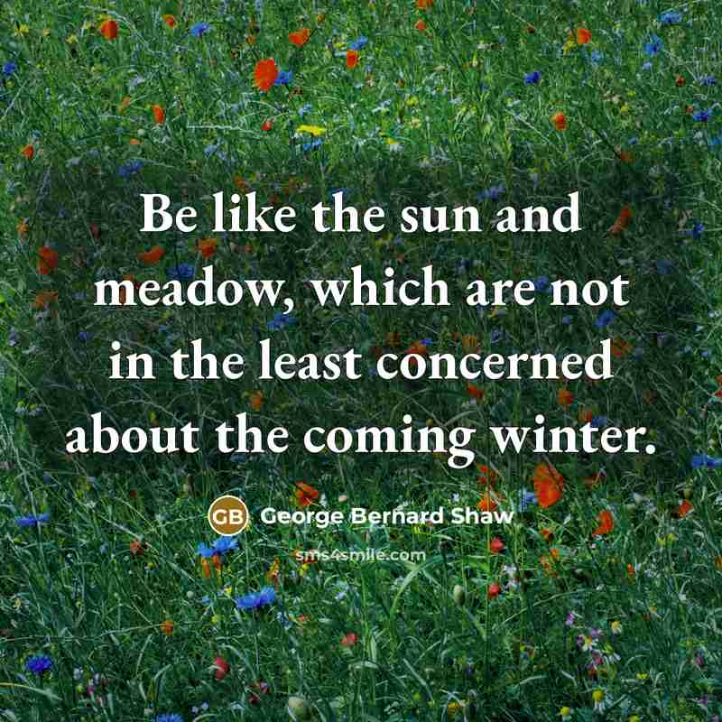 “Be like the sun and meadow, which are not in…” quote by George Bernard Shaw