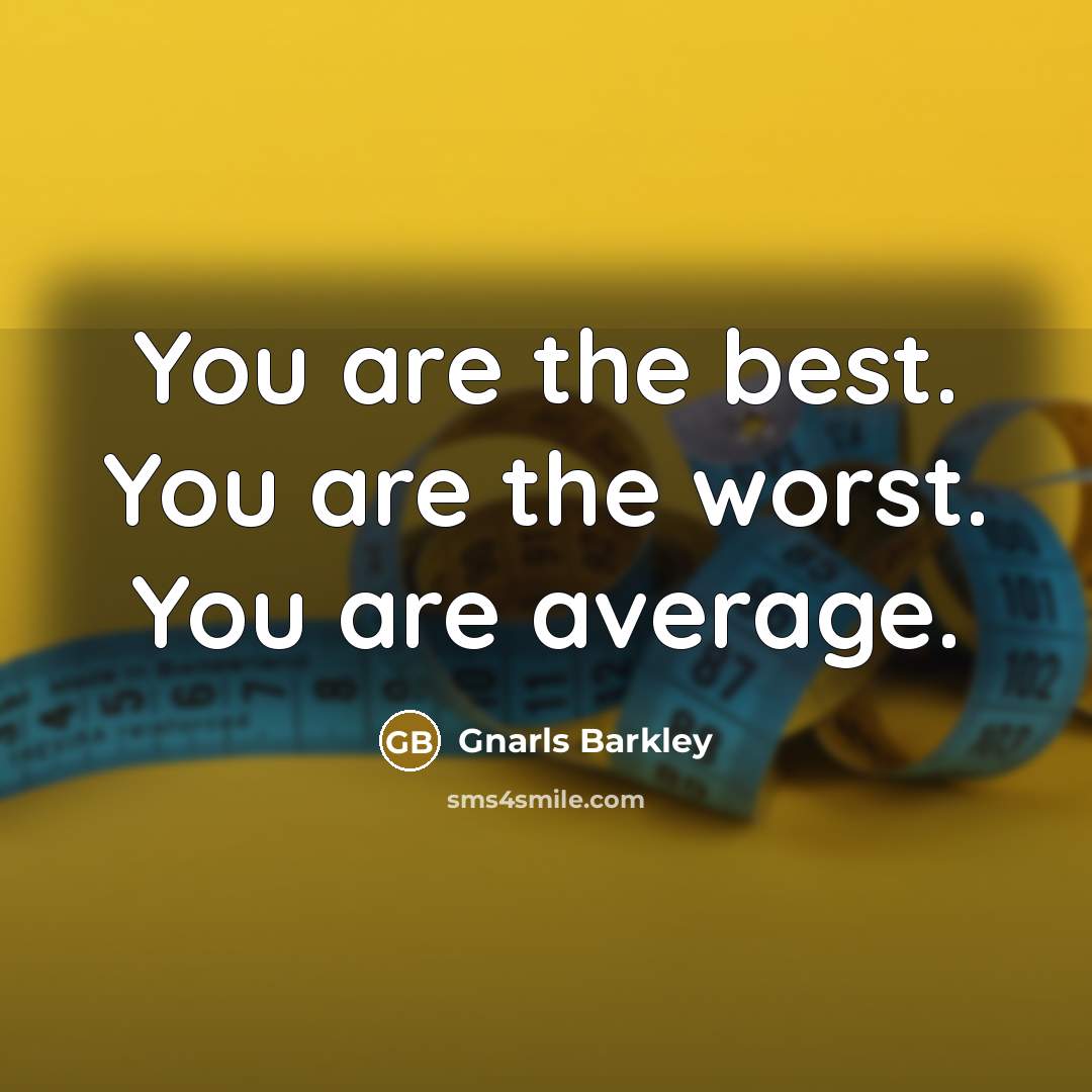 “You are the best. You are the worst. You are average.” quote by Gnarls Barkley