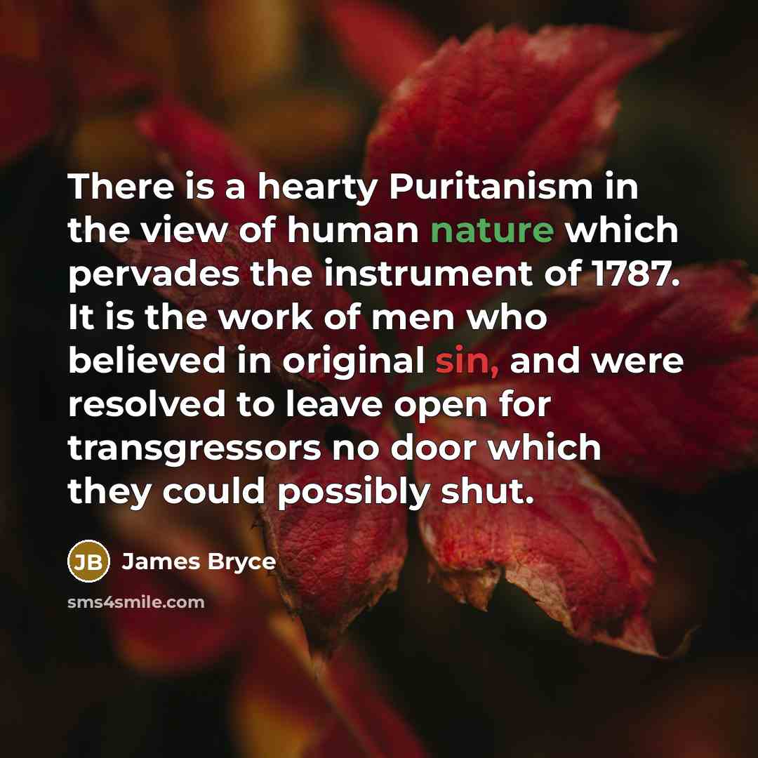 “There is a hearty Puritanism in the view of human…” quote by James Bryce
