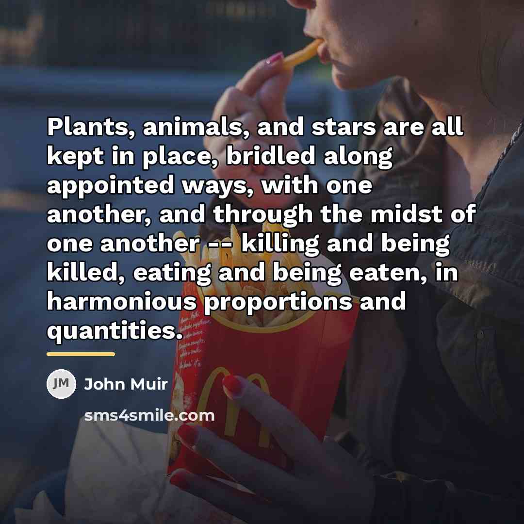“Plants, animals, and stars are all kept in place, bridled…” quote by John Muir