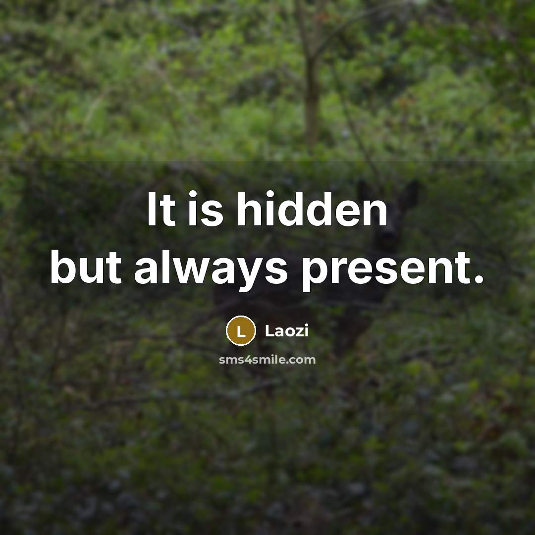 “It is hidden but always present.” quote by Laozi