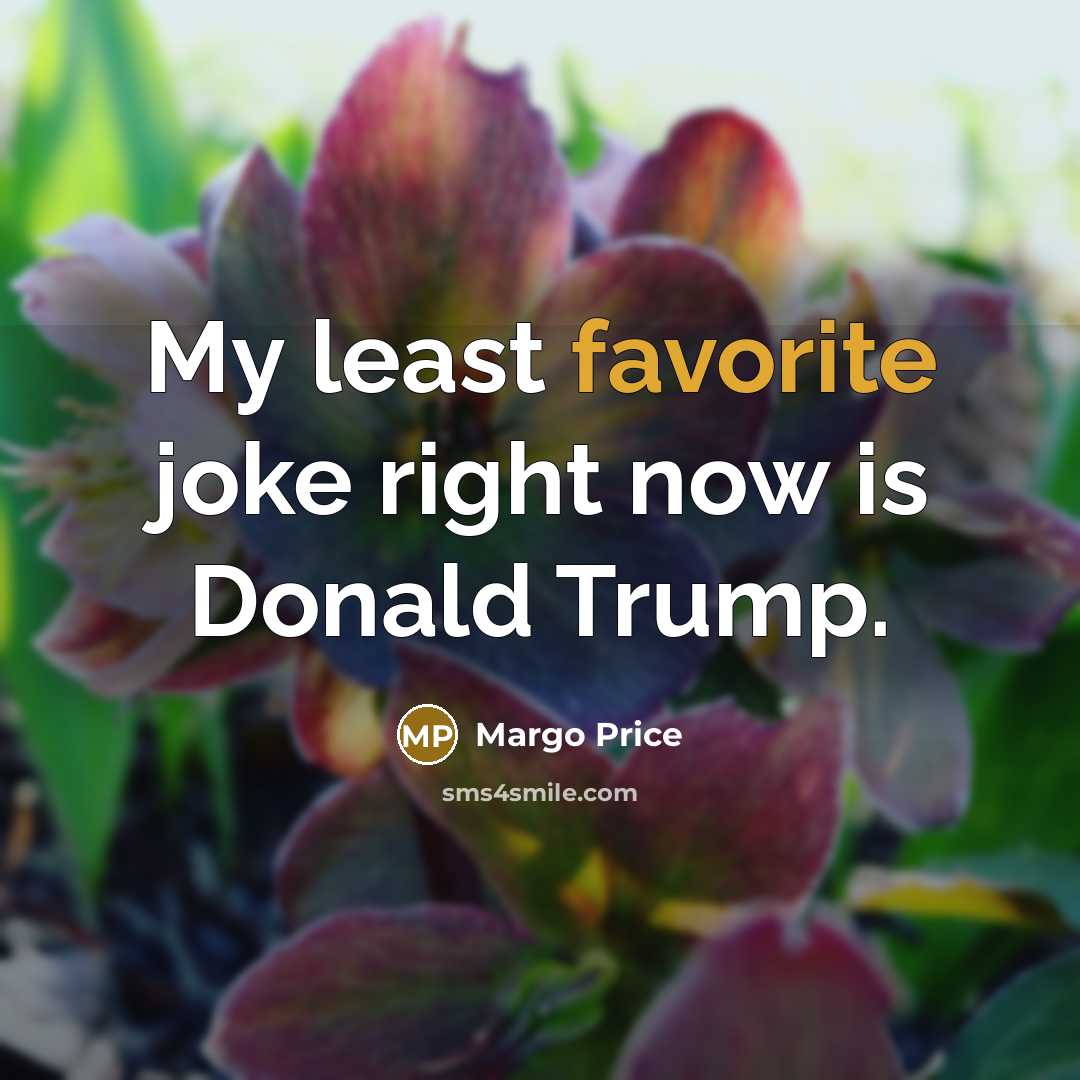 “My least favorite joke right now is Donald Trump.…” quote by Margo Price