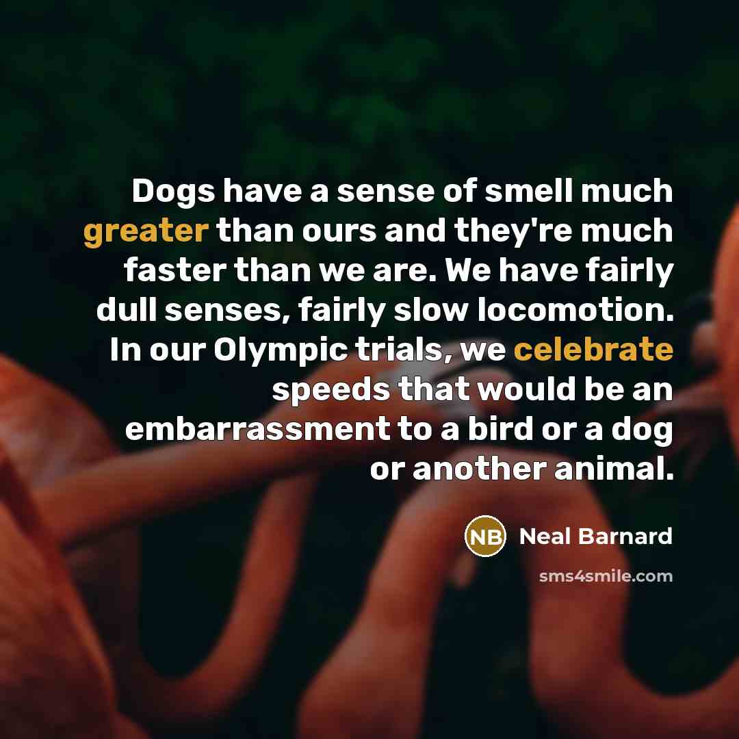 “Dogs have a sense of smell much greater than ours…” quote by Neal Barnard