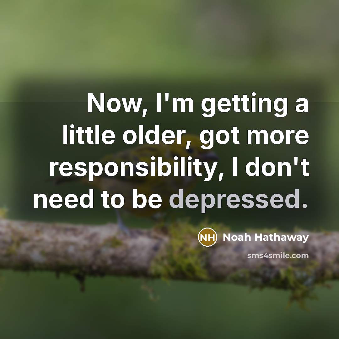 “Now, I'm getting a little older, got more responsibility, I…” quote by Noah Hathaway