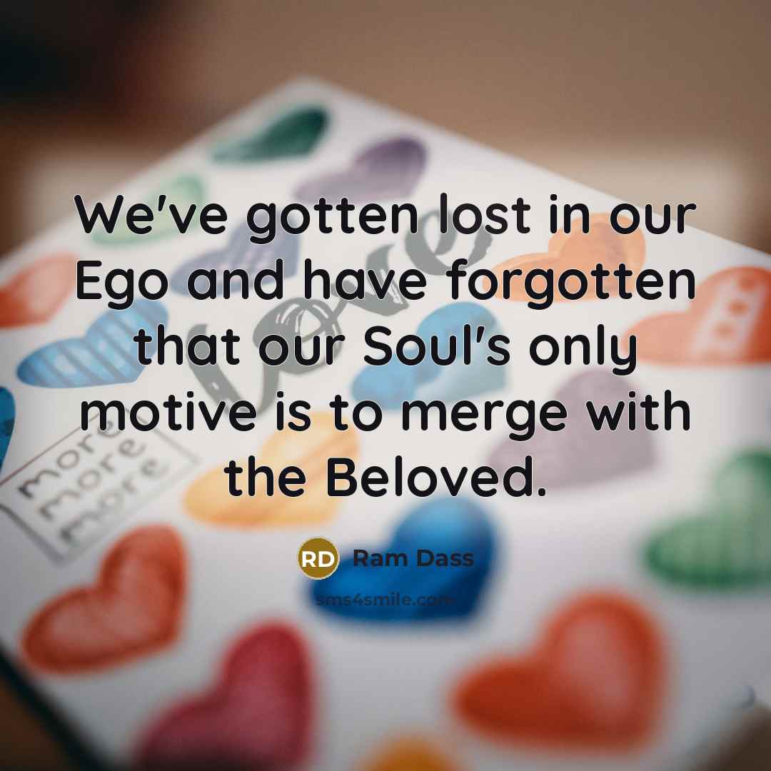 “We've gotten lost in our Ego and have forgotten that…” quote by Ram Dass