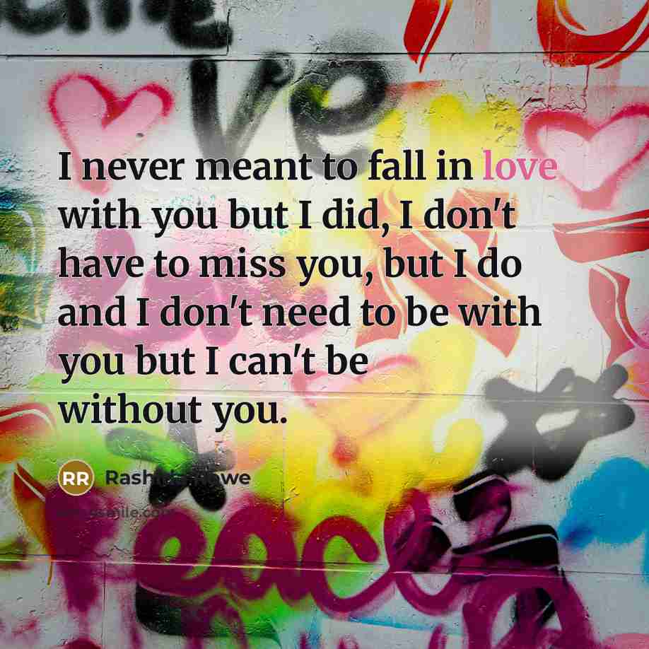 “I never meant to fall in love with you but…” quote by Rashida Rowe