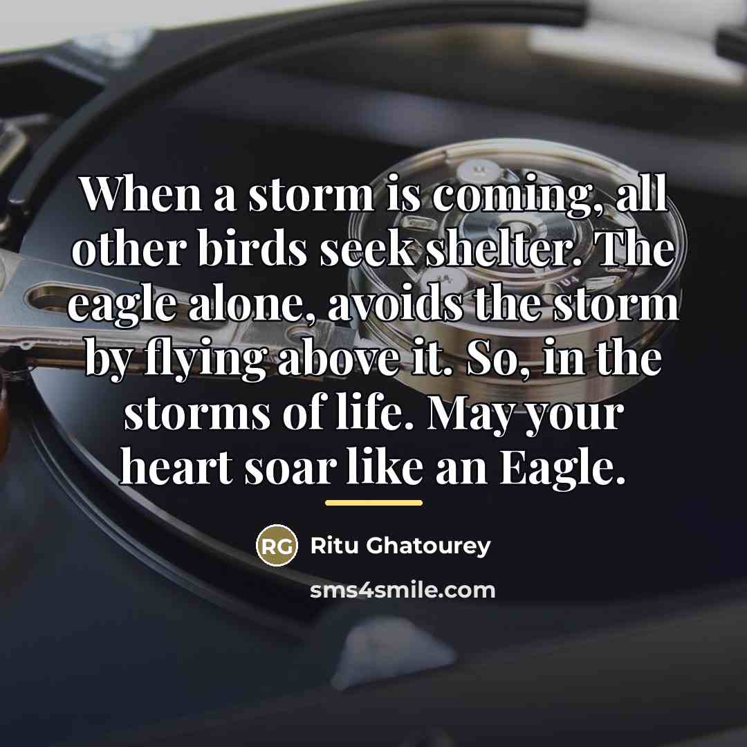 “When a storm is coming, all other birds seek shelter.…” quote by Ritu Ghatourey