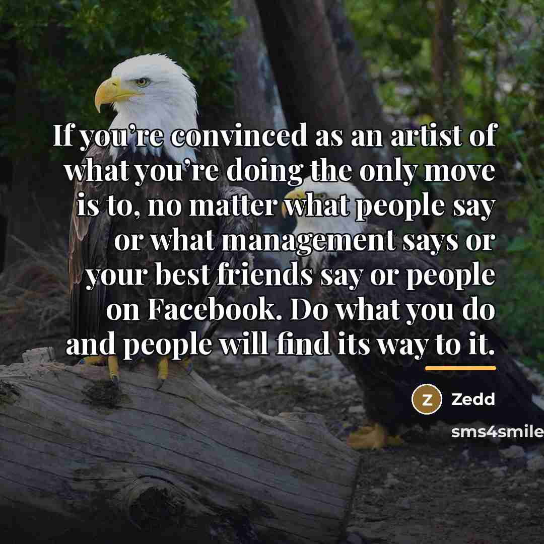 “If you’re convinced as an artist of what you’re doing…” quote by Zedd