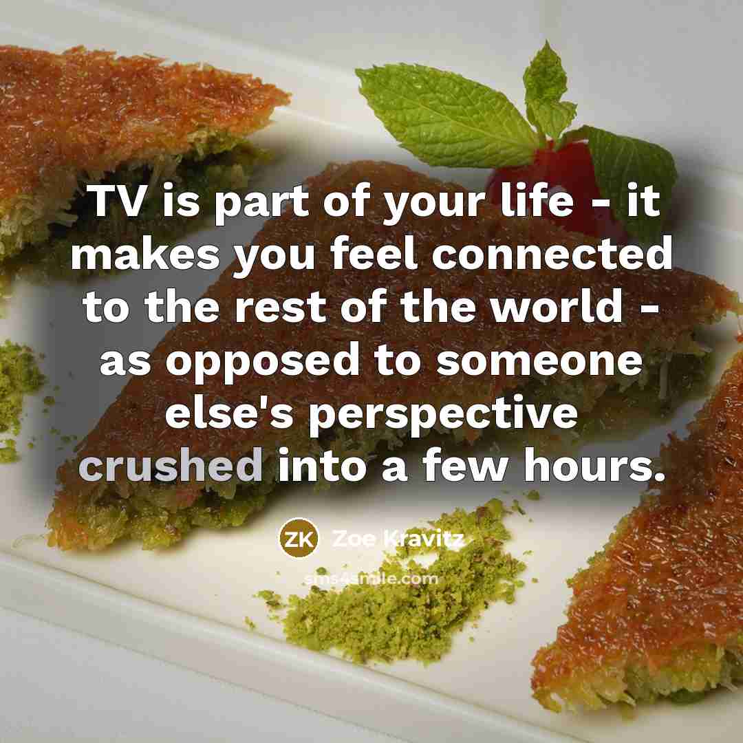 “TV is part of your life - it makes you…” quote by Zoe Kravitz