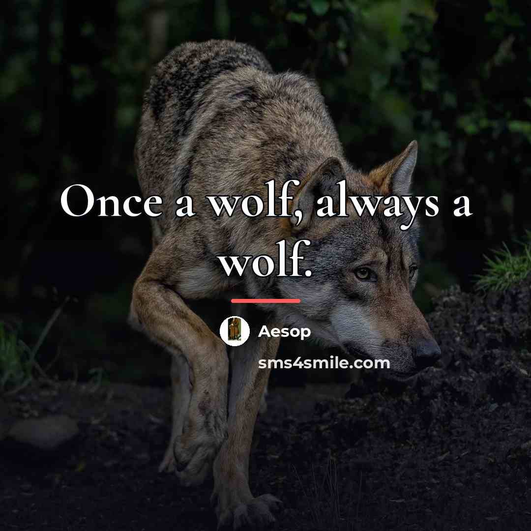 “Once a wolf, always a wolf.…” quote by Aesop