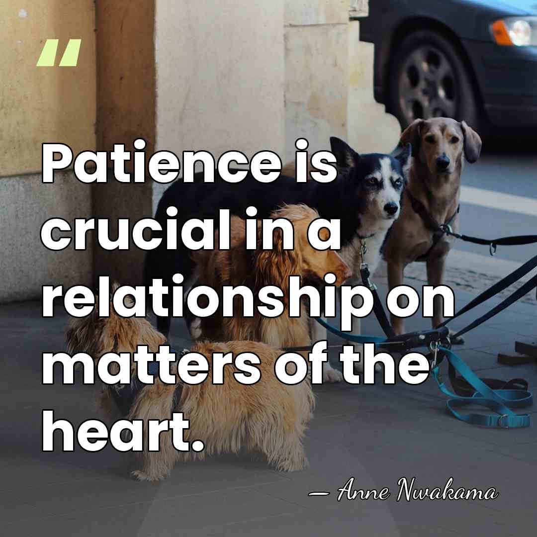 Patience is crucial in a relationship on matters of the heart. - Anne Nwakama