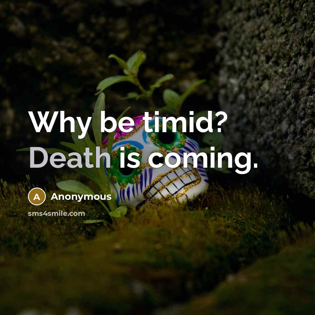 “Why be timid? Death is coming.” quote by Anonymous