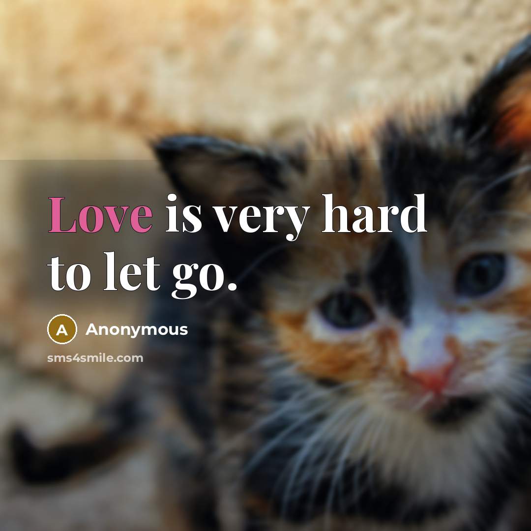 “Love is very hard to let go.…” quote by Anonymous