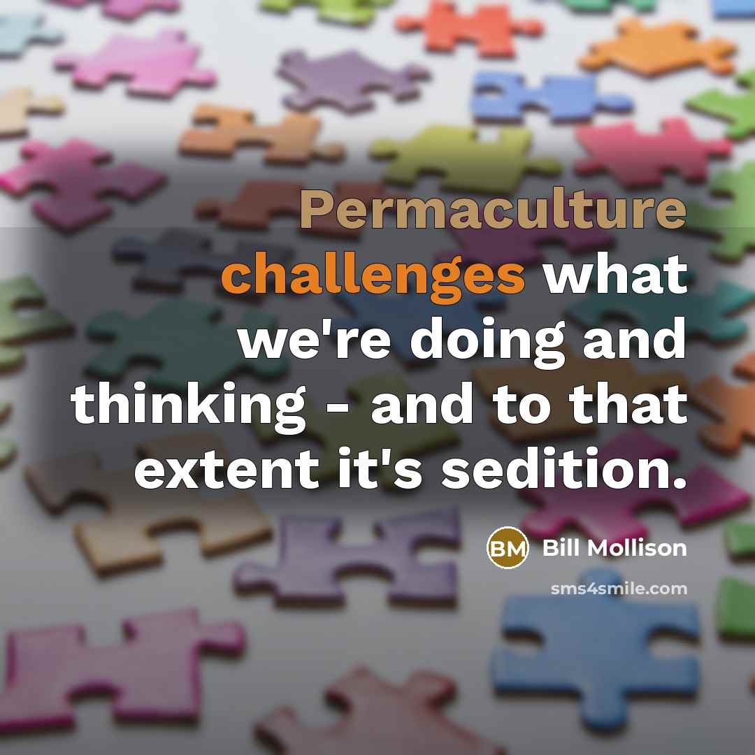 “Permaculture challenges what we're doing and thinking - and to that extent it's sedition.” quote by Bill Mollison