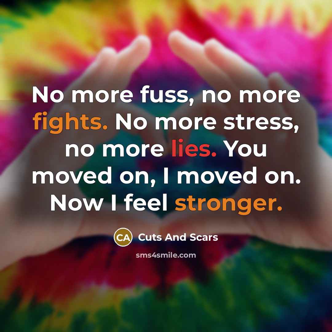 “No more fuss, no more fights. No more stress, no…” quote by Cuts And Scars