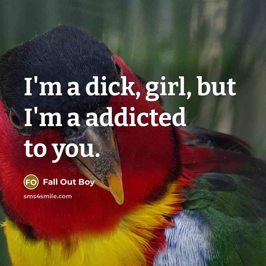 “I'm a dick, girl, but I'm a addicted to you.…” quote by Fall Out Boy