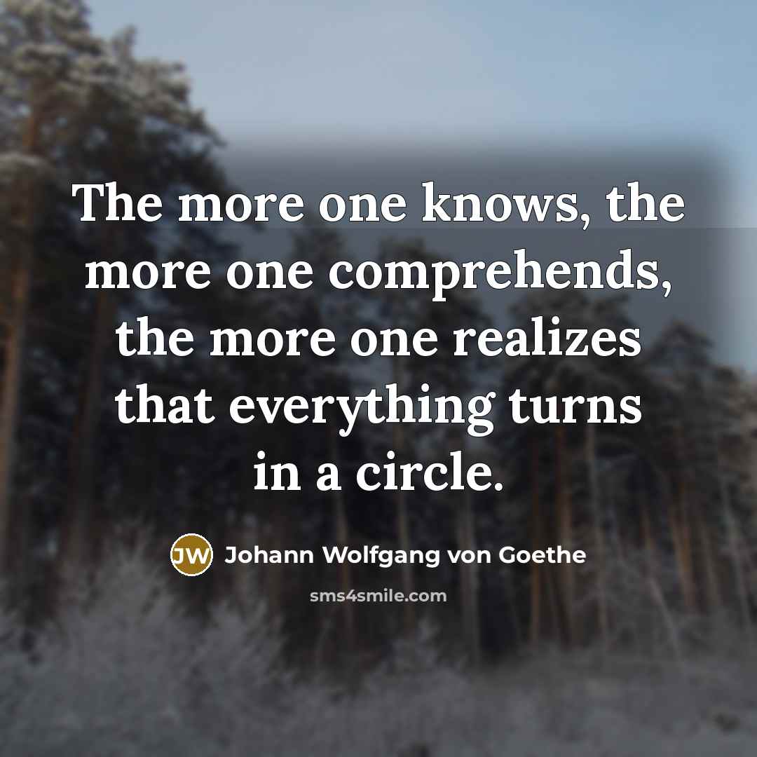 “The more one knows, the more one comprehends, the more…” quote by Johann Wolfgang von Goethe
