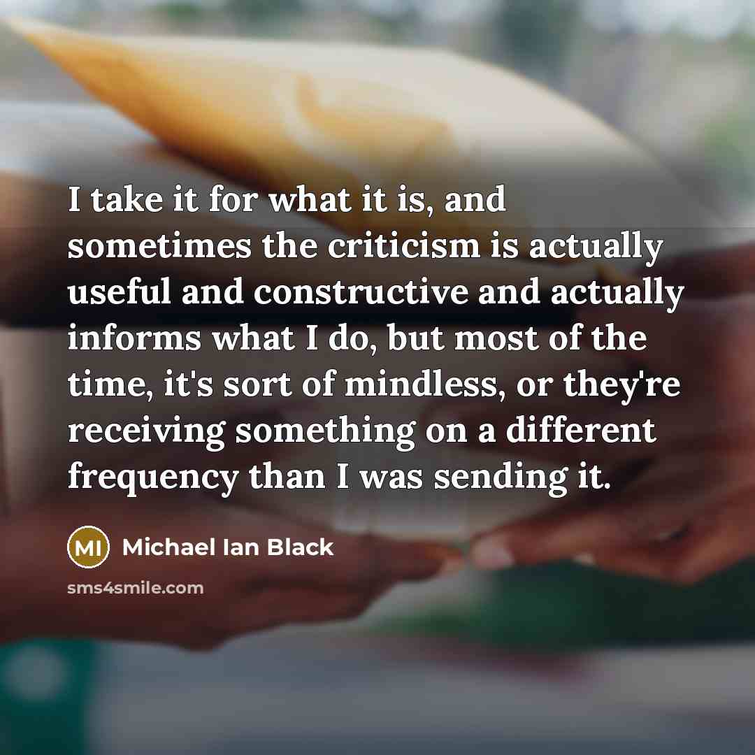 “I take it for what it is, and sometimes the…” quote by Michael Ian Black