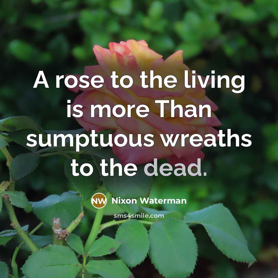 “A rose to the living is more Than sumptuous wreaths to the dead.” quote by Nixon Waterman