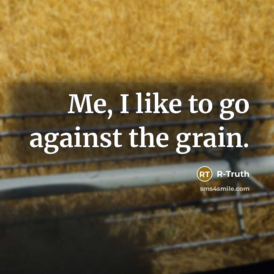 “Me, I like to go against the grain.…” quote by R-Truth