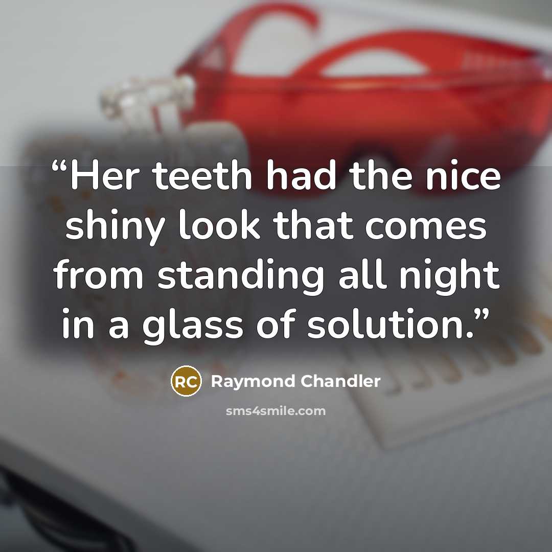 “Her teeth had the nice shiny look that comes from standing all night in a glass of solution.” quote by Raymond Chandler