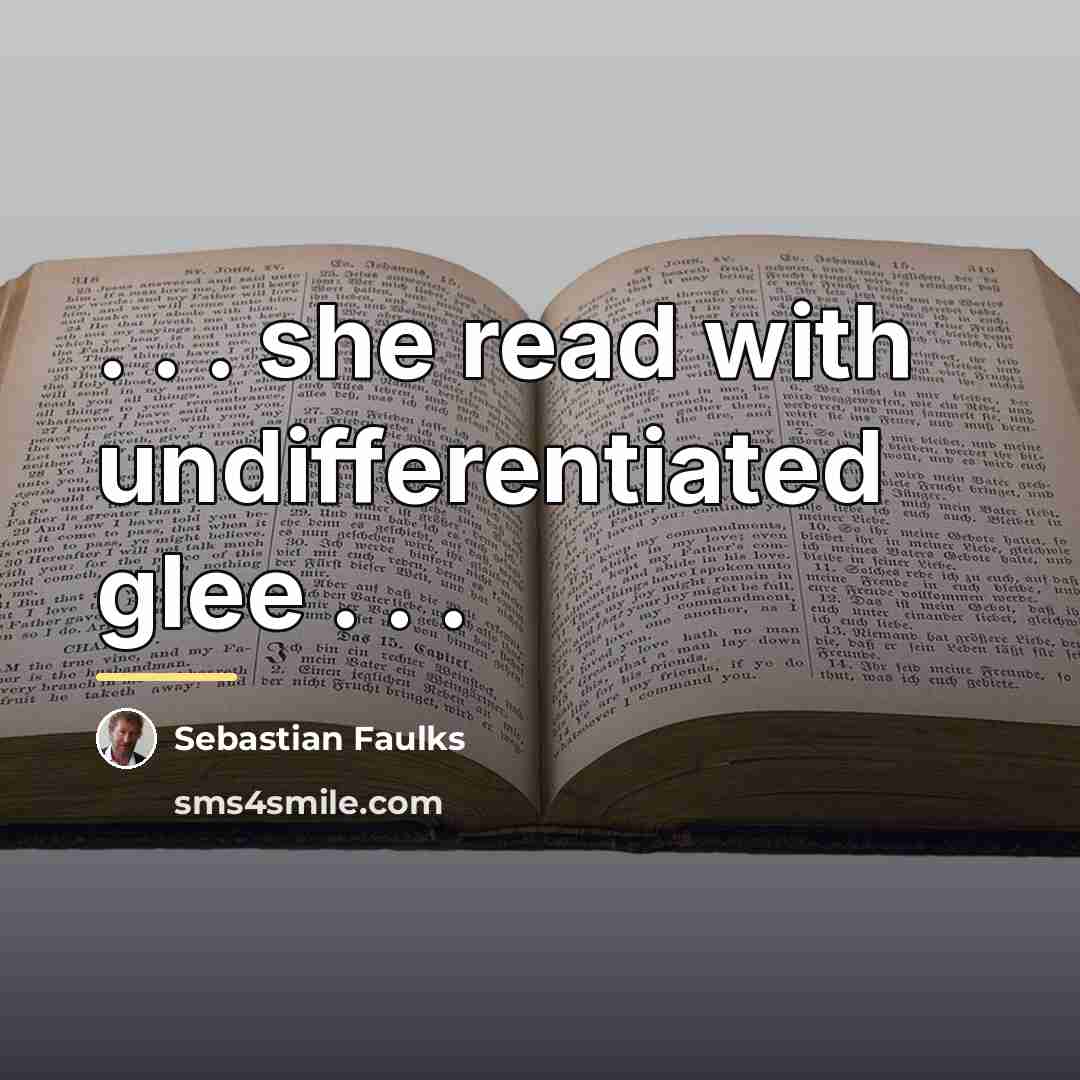 “. . . she read with undifferentiated glee . .…” quote by Sebastian Faulks
