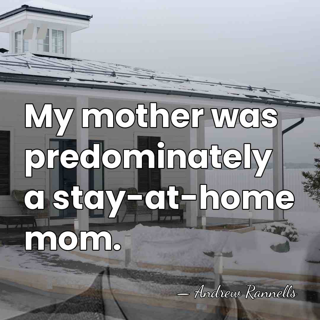 My mother was predominately a stay-at-home mom. - Andrew Rannells