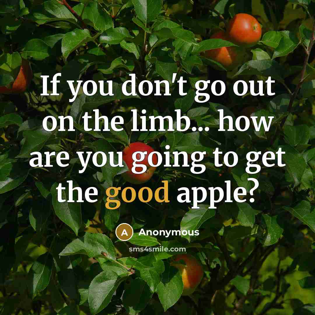 “If you don't go out on the limb... how are you going to get the good apple?” quote by Anonymous
