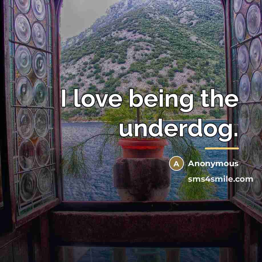 “I love being the underdog.…” quote by Anonymous