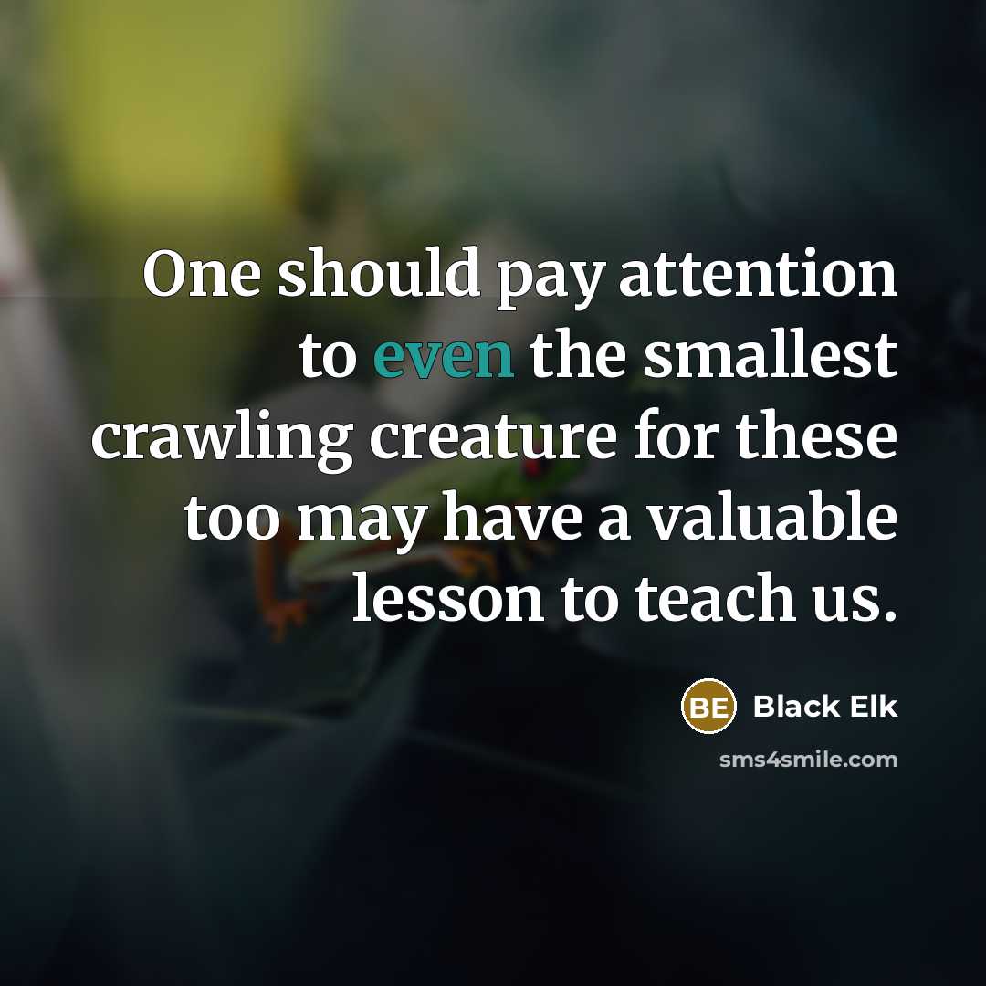 “One should pay attention to even the smallest crawling creature…” quote by Black Elk