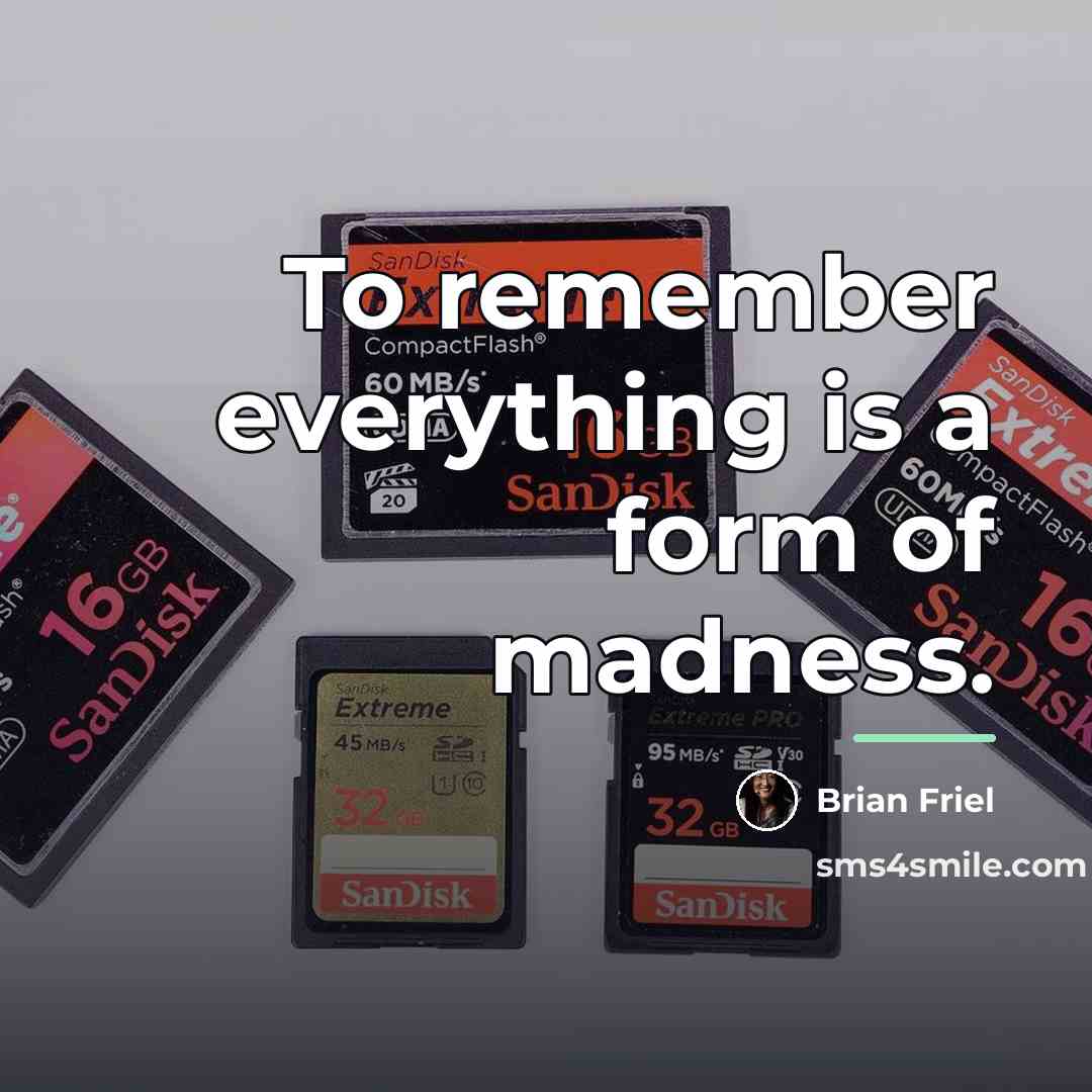 “To remember everything is a form of madness.…” quote by Brian Friel