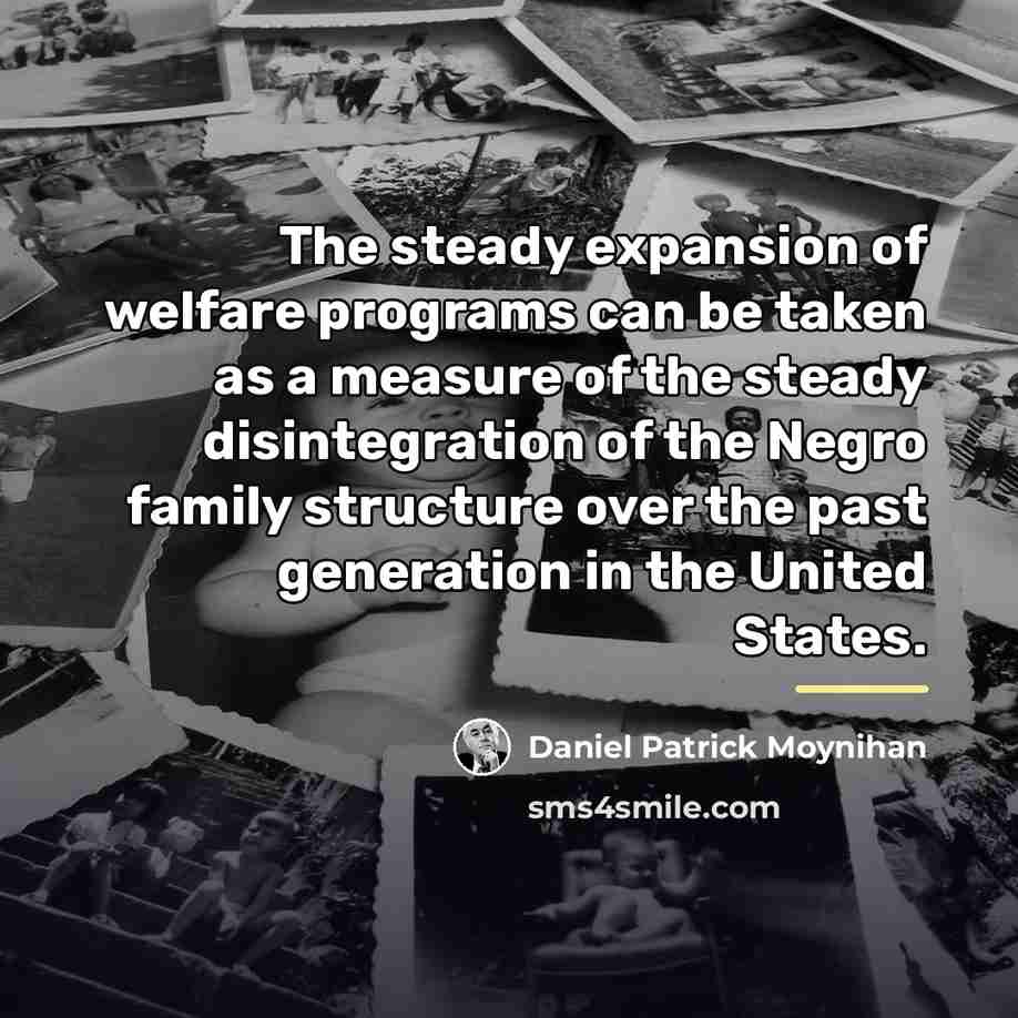 “The steady expansion of welfare programs can be taken as…” quote by Daniel Patrick Moynihan