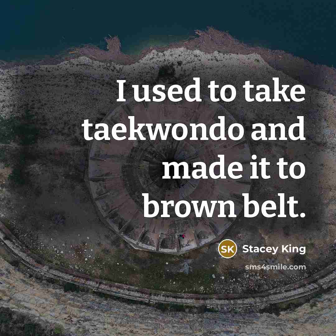 “I used to take taekwondo and made it to brown…” quote by Stacey King