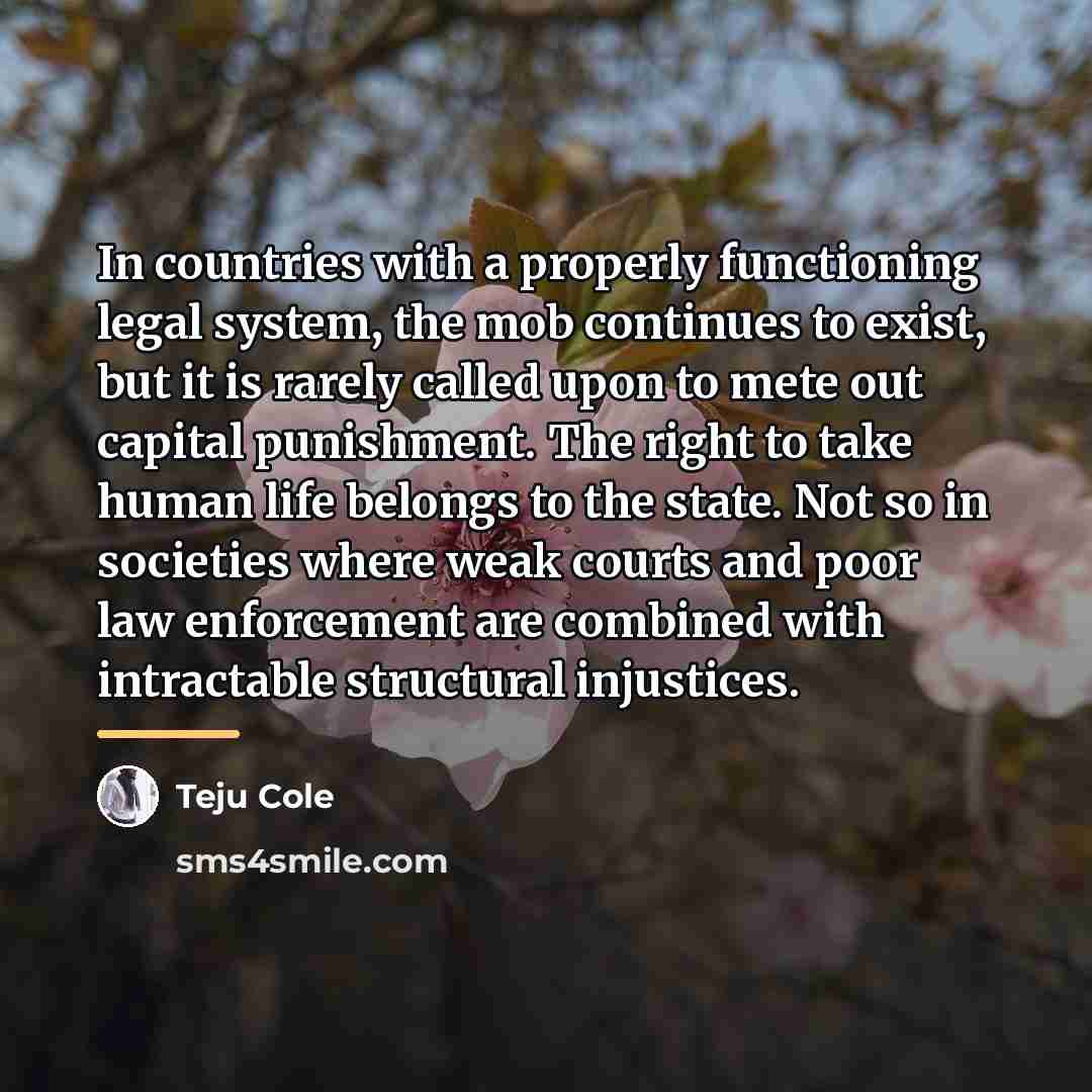 “In countries with a properly functioning legal system, the mob…” quote by Teju Cole