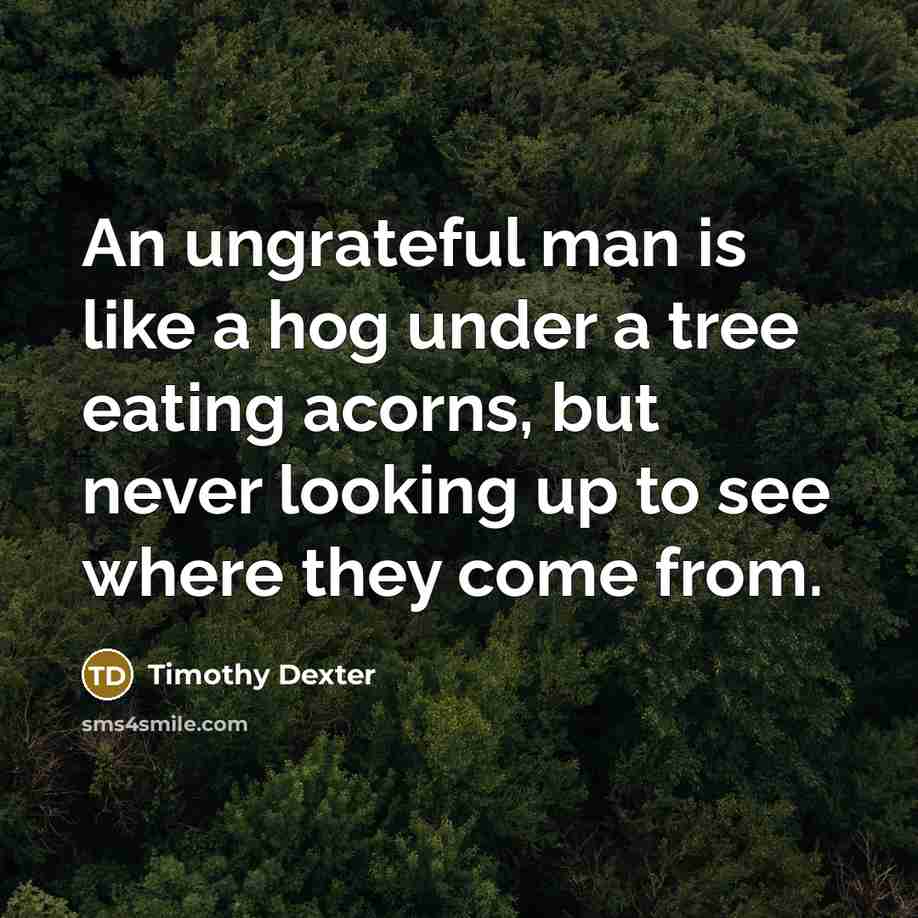 “An ungrateful man is like a hog under a tree eating acorns, but never looking up to see where they come from.” quote by Timothy Dexter